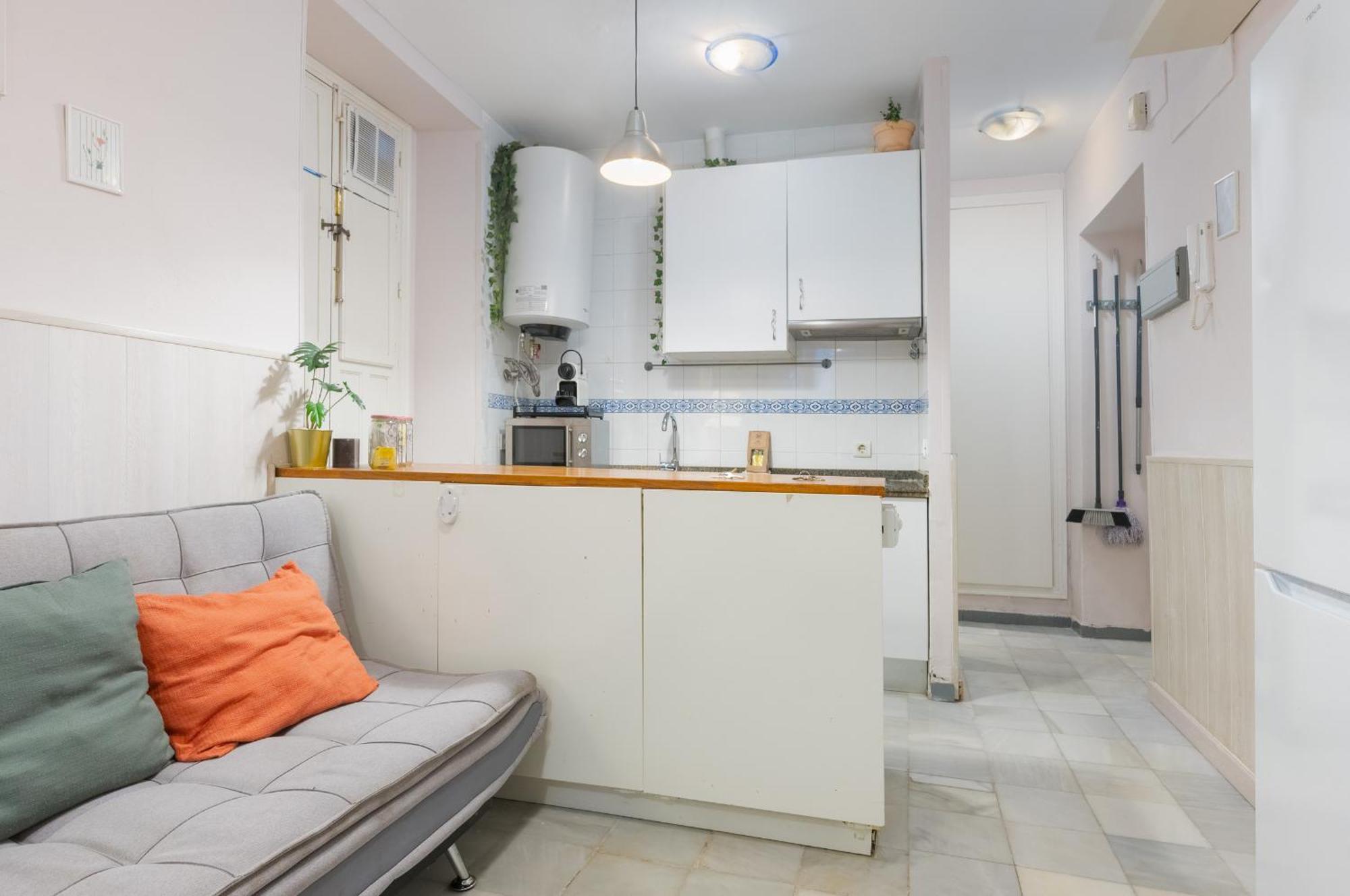 Functional And Pretty-1bd 1bth- San Vicente Seville